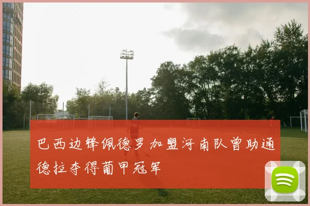 巴西边锋佩德罗加盟河南队曾助通德拉夺得葡甲冠军