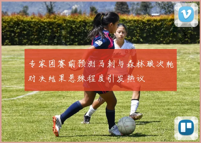 专家团赛前预测马刺与森林狼次轮对决结果悬殊程度引发热议